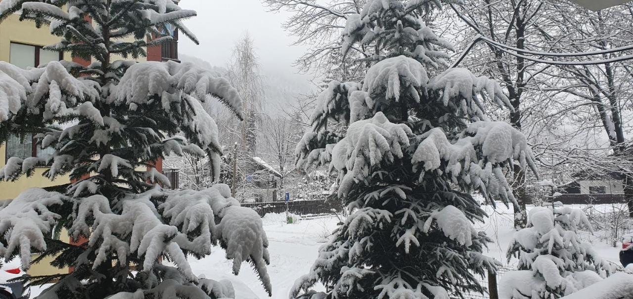 Sinaia Relax Residence Luaran gambar