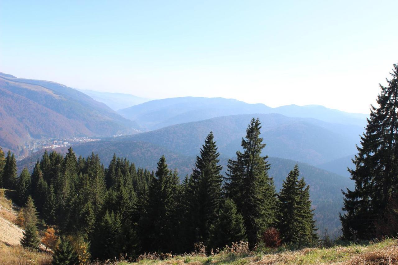 Sinaia Relax Residence Luaran gambar
