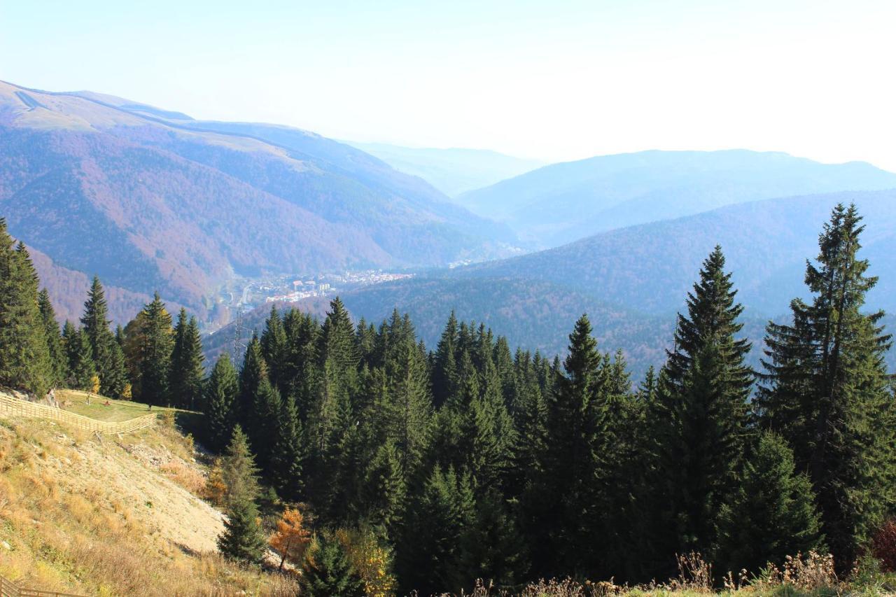 Sinaia Relax Residence Luaran gambar